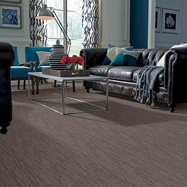 Anso® Nylon Carpet | Lakeside, AZ